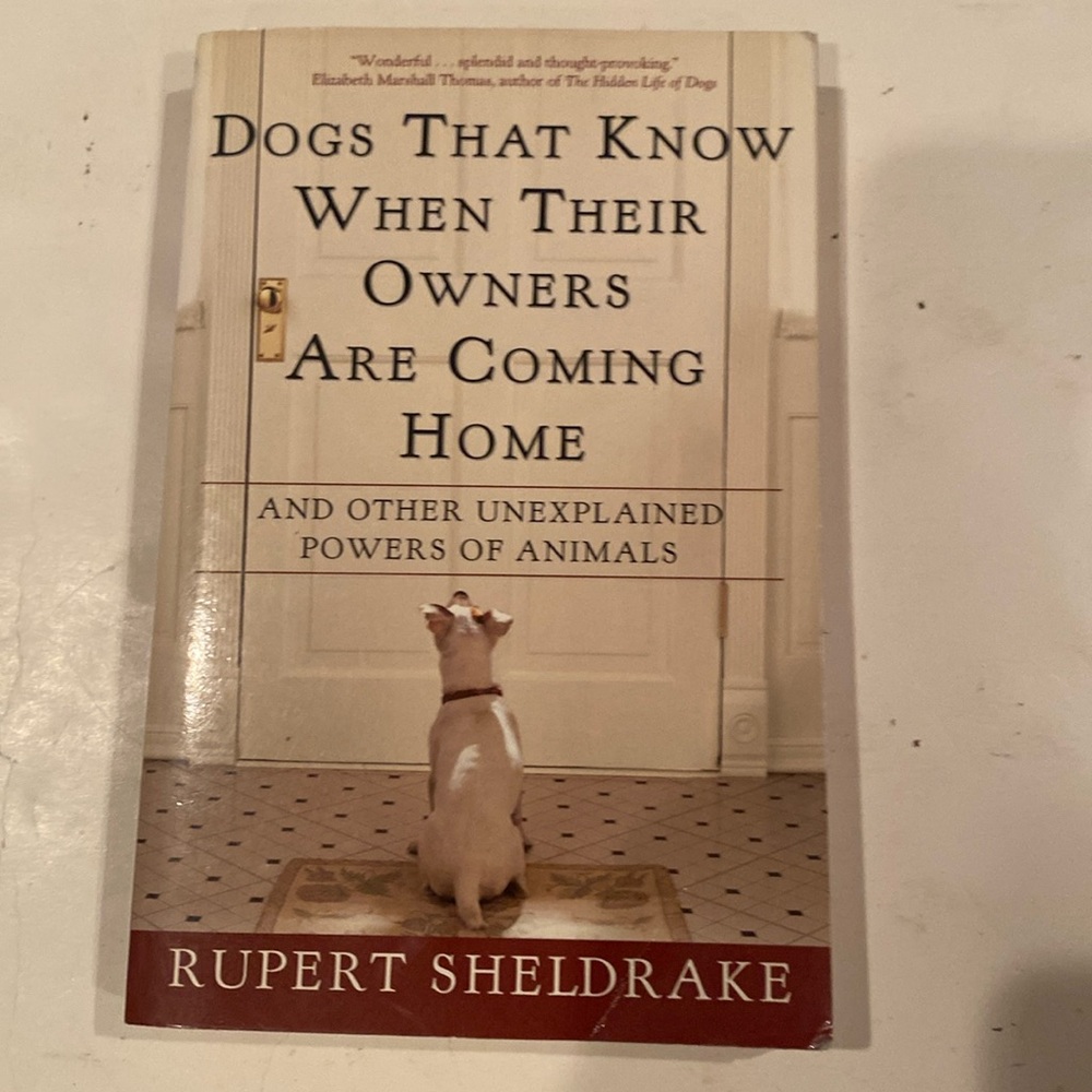 “Dogs that Know When Their Owners are Coming Home,”